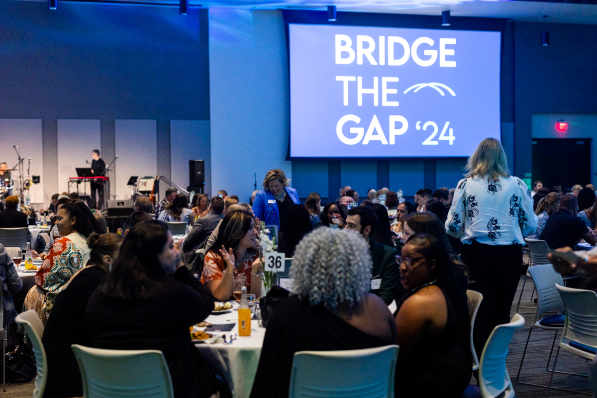 Bridge the Gap 2024